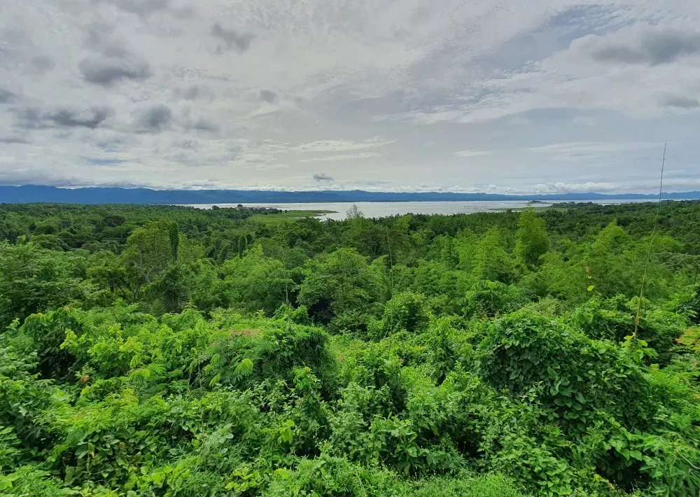 The Western Forest Complex in Thailand